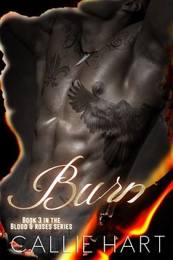 Burn (Blood & Roses 3) by Callie Hart