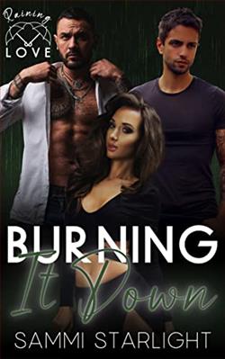 Burning It Down by Sammi Starlight