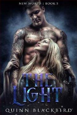 The Light (Dark Fae: Black World 5) by Quinn Blackbird