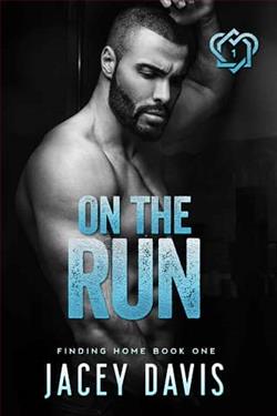 On The Run by Jacey Davis