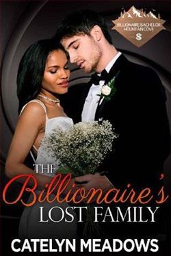 The Billionaire's Lost Family by Catelyn Meadows