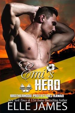 Emi's Hero by Elle James