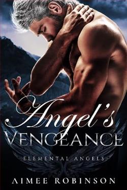 Angel's Vengeance by Aimee Robinson