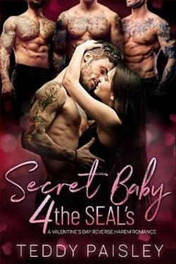 Secret Baby 4 the SEAL's by Teddy Paisley