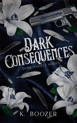 Dark Consequences by K. Boozer