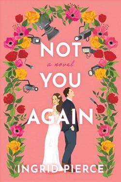 Not You Again by Ingrid Pierce