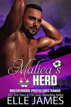 Maliea's Hero by Elle James