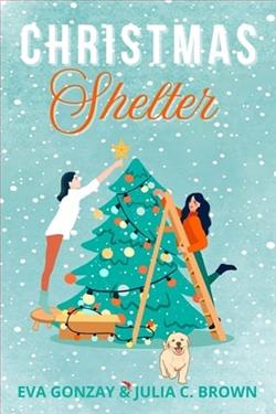 Christmas Shelter by Eva Gonzay