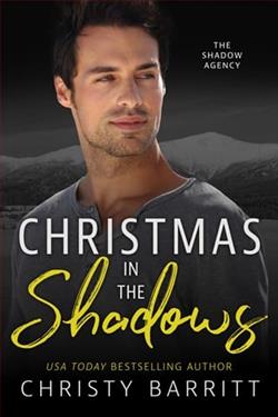 Christmas in the Shadows by Christy Barritt