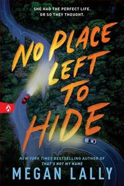 No Place Left to Hide by Megan Lally